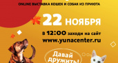 Онлайн «Юна-Фест»: домашние питомцы в добрые руки по всей стране с «кормовым довеском»