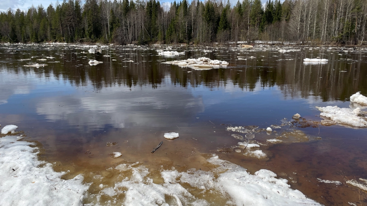В Брянской области сохраняется подтопление более 30 участков