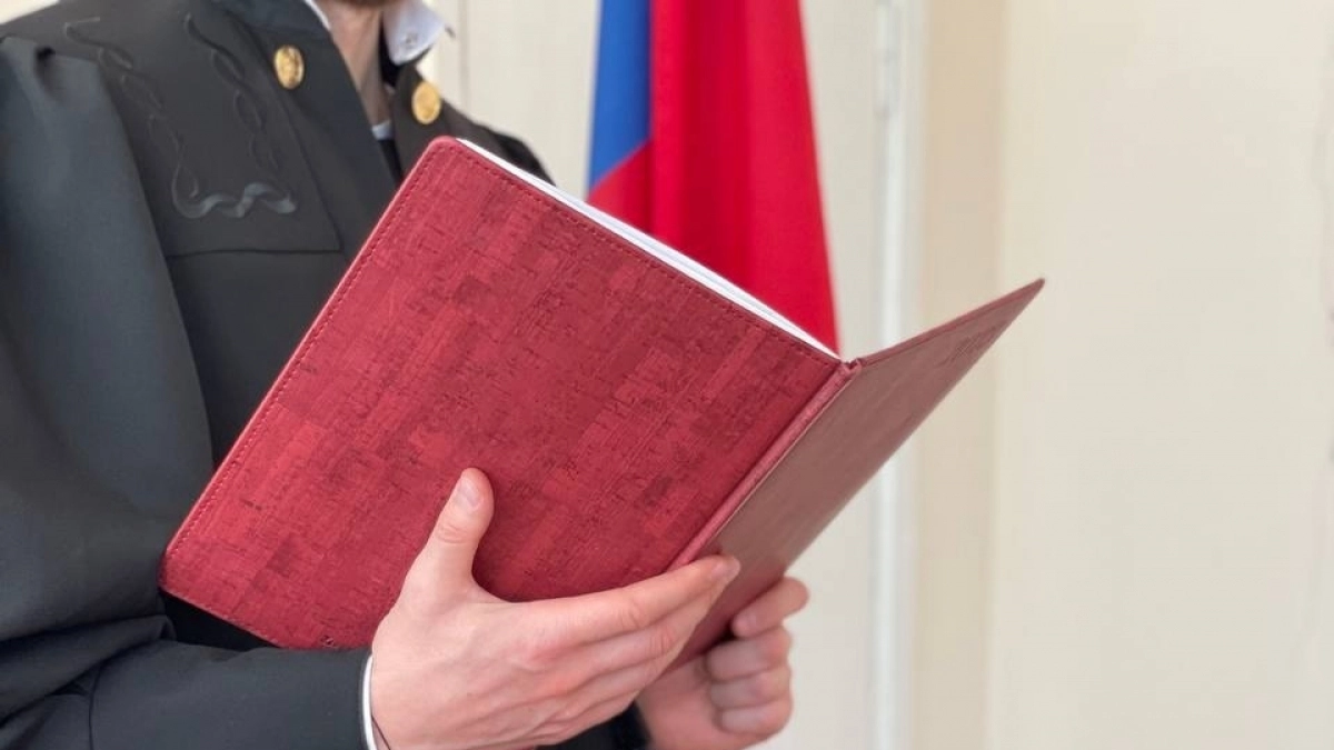 Суд приговорил жителя региона к колонии за серию угонов и грабежей