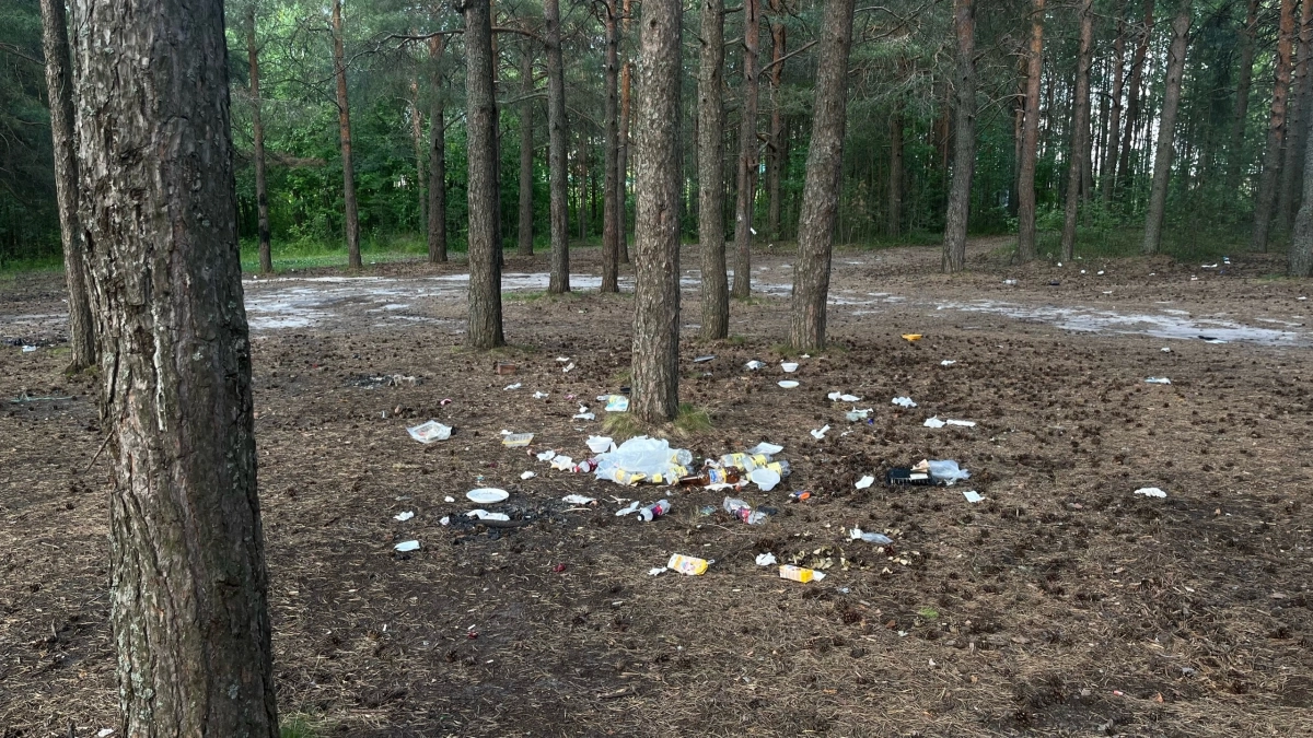 Прокуратура Брянской области добилась ликвидации несанкционированной свалки