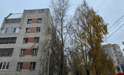 16 ноября жителей Брянской области ждет усиленный ветер