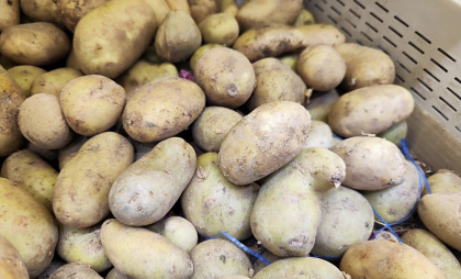Брянщина возглавила картофельный рейтинг России