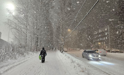 Снежная погода обрушится на Брянскую область 16 февраля: ожидаются метели и сугробы