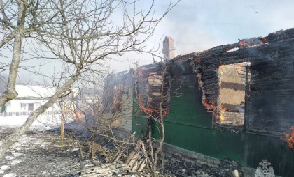 В Брянской области пожарные спасли частный сектор от крупного возгорания