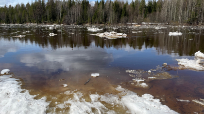 В Брянской области сохраняется подтопление более 30 участков