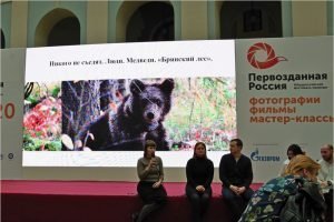 «Брянский лес» представил на «Первозданной России» программу восстановления популяции бурого медведя