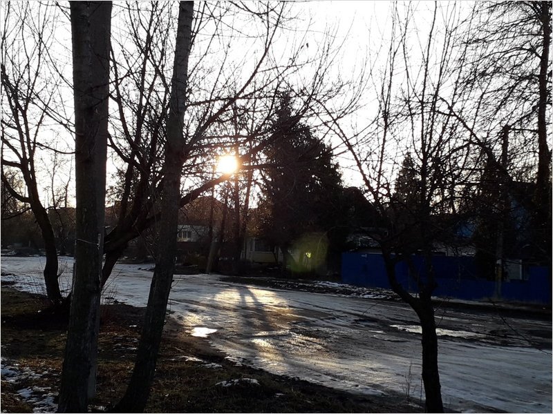 В Брянске побит температурный рекорд самого тёплого января