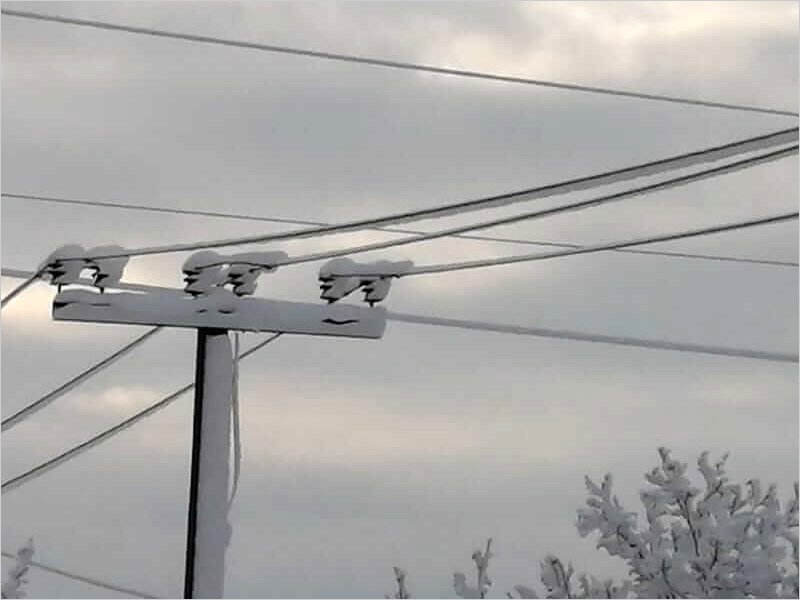 Энергетики филиала «Брянскэнерго» готовятся к ухудшению погоды