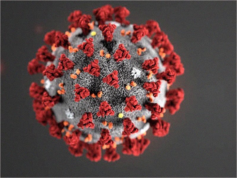В России уже сделали больше 100 тысяч тестов на коронавирус