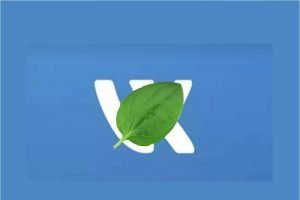 Соцсеть «ВКонтакте» не работает и беспорядочно удаляет аккаунты