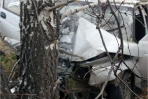 Смертельное ДТП под Клинцами: 19-летний водитель врезался в дерево