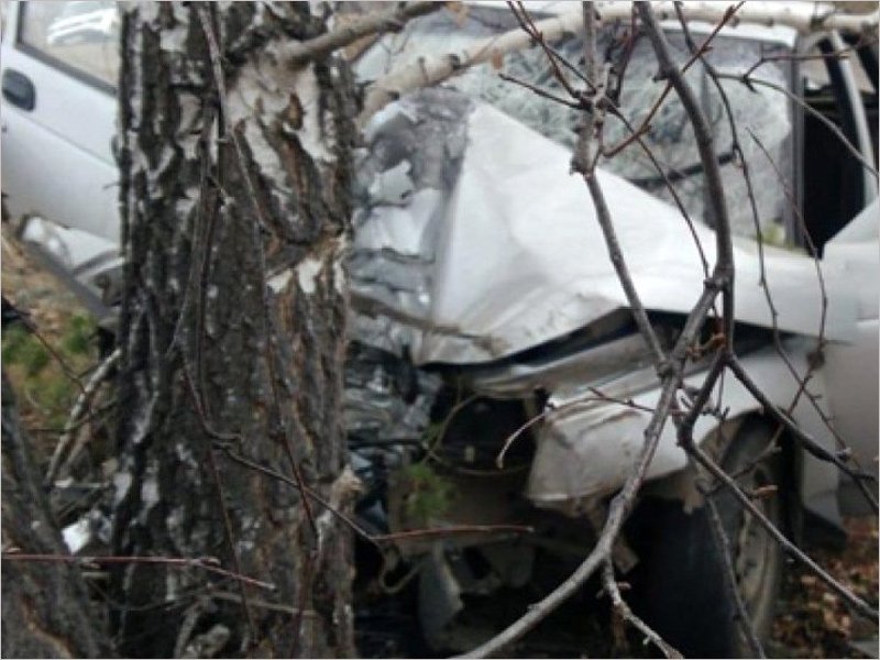 Смертельное ДТП под Клинцами: 19-летний водитель врезался в дерево
