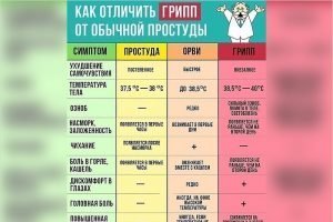 Как отличить грипп от простуды?