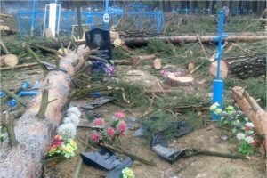 «Всем миром»: на кладбище в Брянской области ради новой часовни осквернили несколько могил