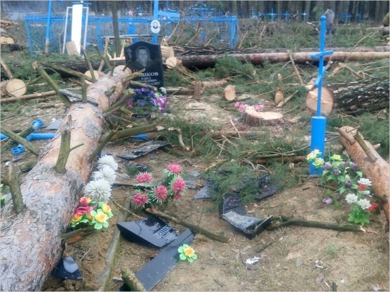«Всем миром»: на кладбище в Брянской области ради новой часовни осквернили несколько могил