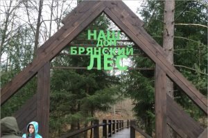 Заповедник «Брянский лес» приостанавливает экскурсионную деятельность до 30 апреля