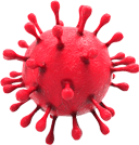 За последние сутки от коронавируса умерли 13 человек