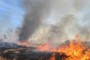 Пал сухой травы едва не сжёг деревню в Трубчевском районе