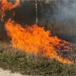 Чрезвычайная пожароопасность объявлена в Брянске с 30 сентября
