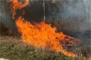Новозыбковские пожарные в День Победы ликвидировали три ландшафтных пожара