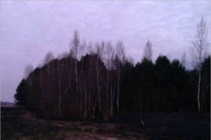 На границе Брянска потушен лесной пожар площадью семь гектаров