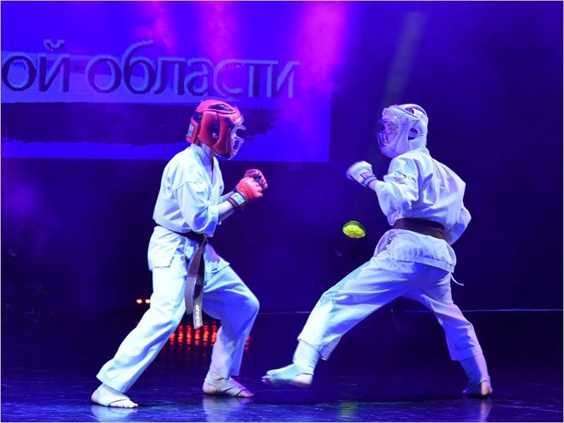 Организаторы отменили традиционный фестиваль боевых искусств в Брянске