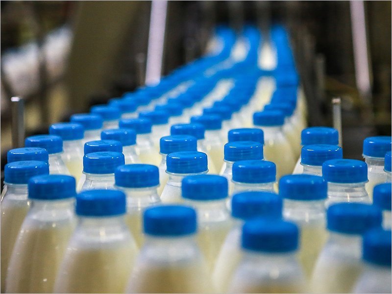 Производство молока в брянских хозяйствах за год выросло на 0,7%