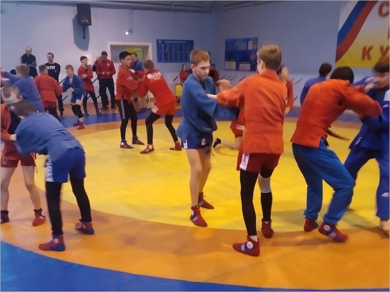 Брянские самбисты участвовали во всероссийских соревнованиях и сборах в Рязани