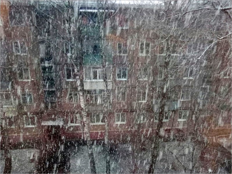 Брянскую область 14 марта накрыл снежный шквал