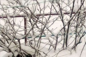 Центральную Россию 20 ноября ожидает «барическая пропасть» и мощнейший снегопад