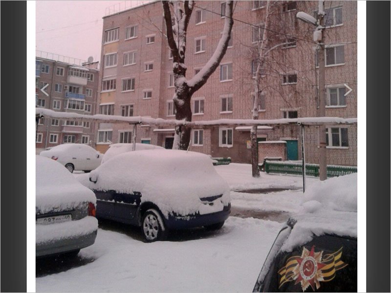 В юго-западных районах Брянской области 22 марта выпал снег