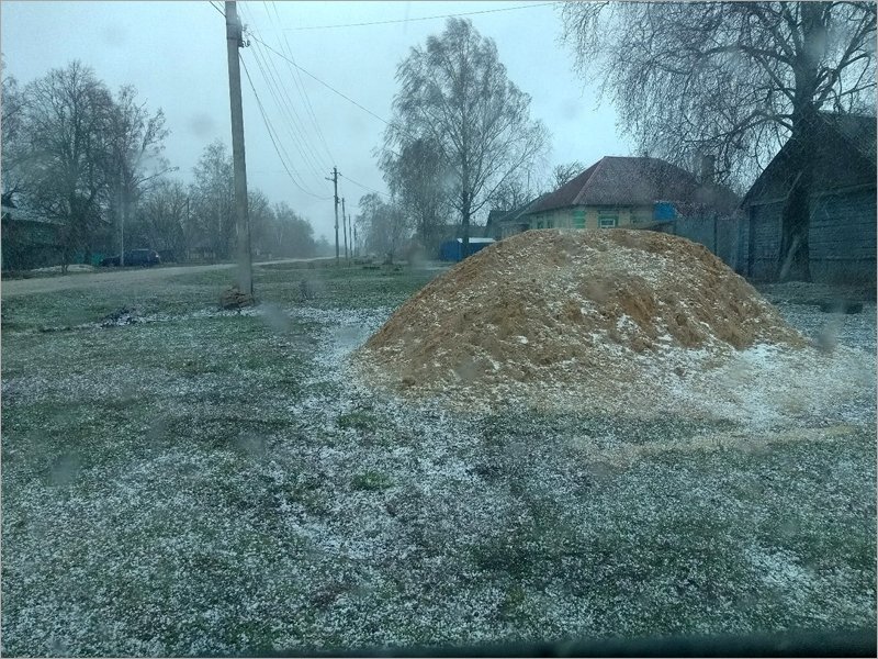 Брянскую область 14 марта накрыл снежный шквал