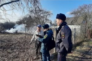 В Брянске  проведён рейд против травяных палов, пять человек оштрафовано