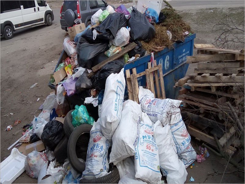 Последний уик-энд перед «коронавирусными выходными» переполнил мусорные контейнеры Брянска