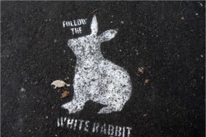 Новая схема кражи денег с банковских карт получила название «Белый кролик»