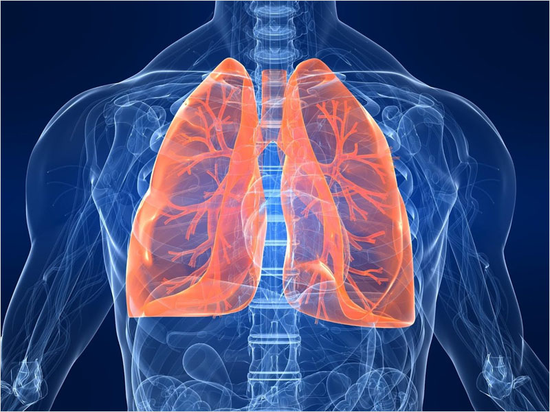 Болезни органов дыхания составили в 2019 году 45% болезней жителей Брянской области — Брянскстат