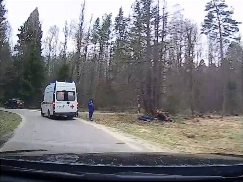 Смертельное ДТП под Брянском: мотоциклист врезался в дерево и погиб, пассажир получил тяжёлую травму