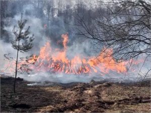 С начала марта брянские пожарные уже потушили три десятка травяных палов