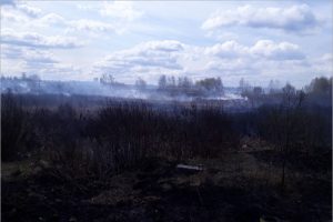 Более 70% пожаров в Брянске в прошлом году — возгорания травы и мусора