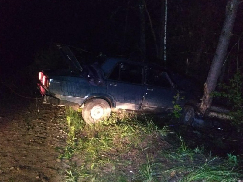 Пьяный водитель в Погарском районе заехал в дерево. Он и пассажир отделались разбитыми головами