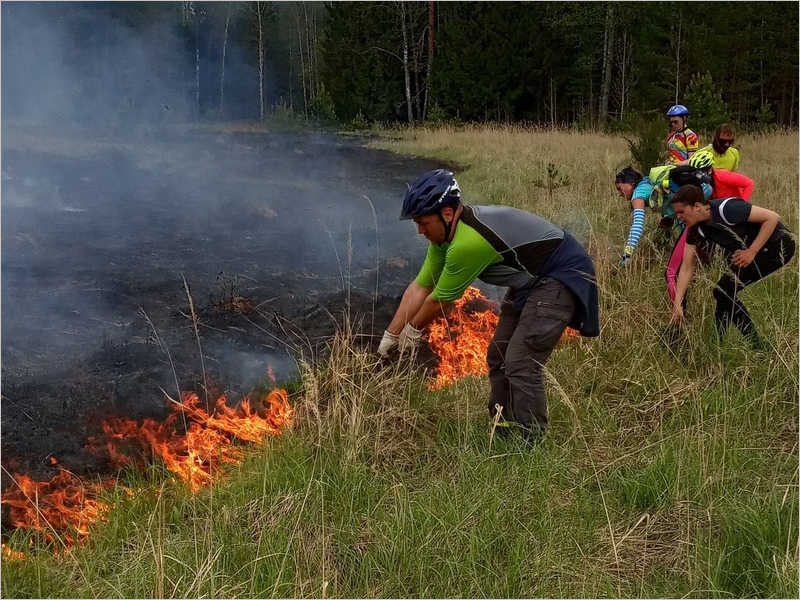 В брянском управлении лесами наградили туристов, спасших лес от пожара