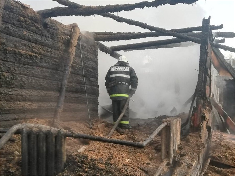 В мглинской деревне в пожаре погибла 67-летняя женщина