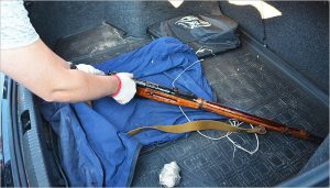 Операция «Арсенал»: брянская полиция изъяла два ствола и больше сотни боеприпасов