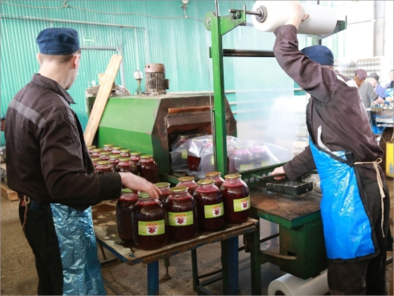Заключённые суражской колонии КП-3 наконсервировали овощей на 16,5 млн. рублей