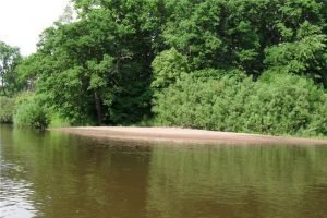 Из-за дождей в Брянской области поднялись реки, возможны подтопления — МЧС