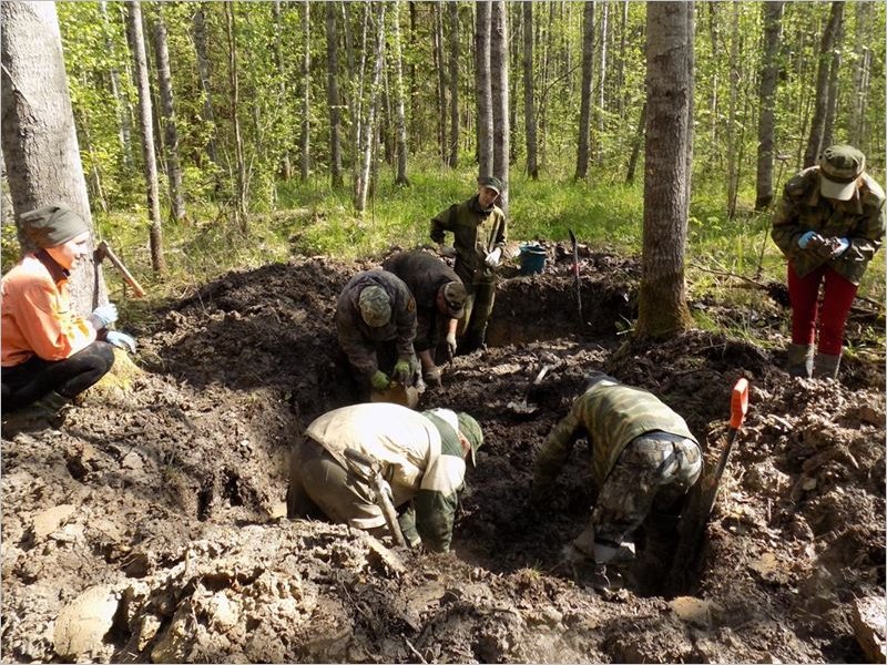 Новгородские поисковики обнаружили останки брянского красноармейца