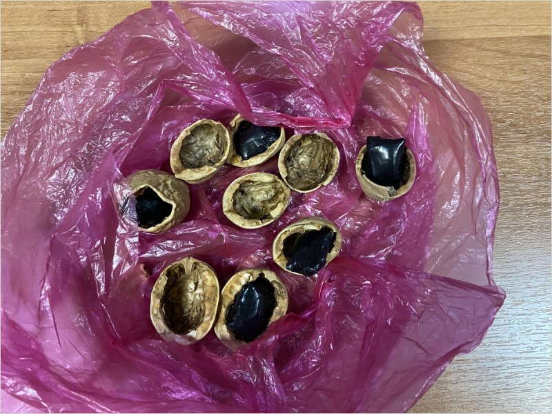 В Брянске полицейские изъяли «заряженные» орехи