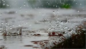 За два дня на Брянск вылилась треть месячной дождевой нормы