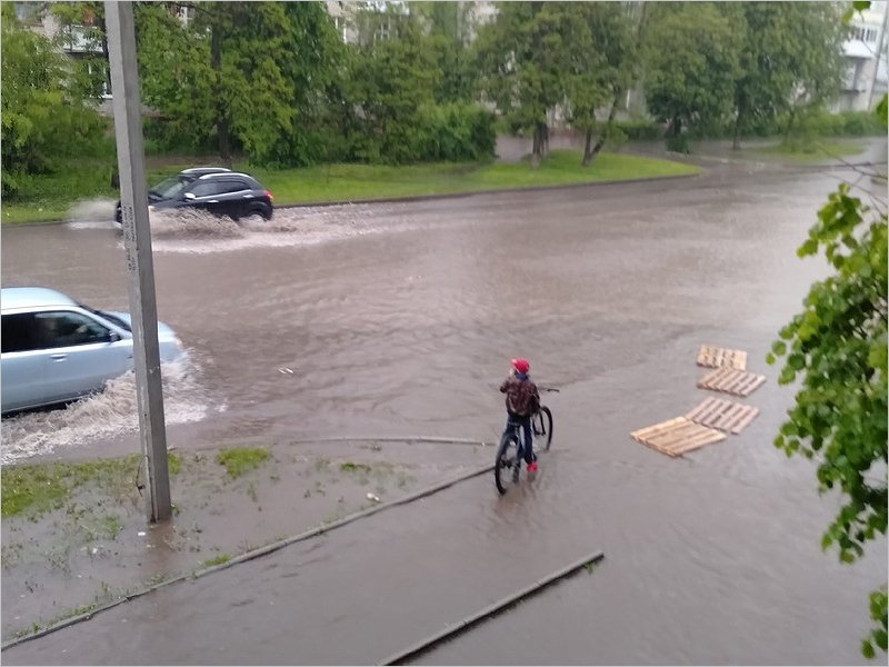 Май в Брянске стал самым дождливым за всю историю наблюдений