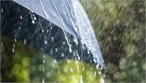 Брянских жителей предупредили о ливнях с грозами, градом и шквалистым ветром 5 июня